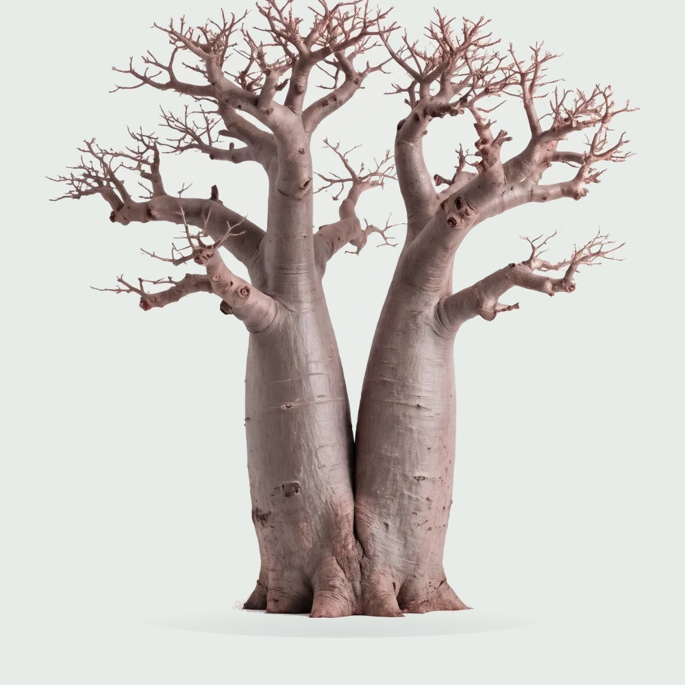 Tree #00115