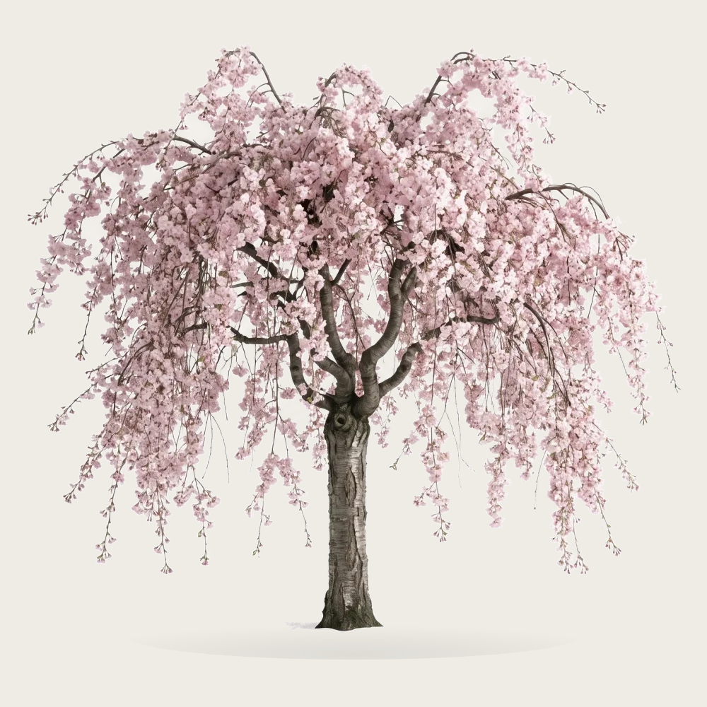 Tree #00119