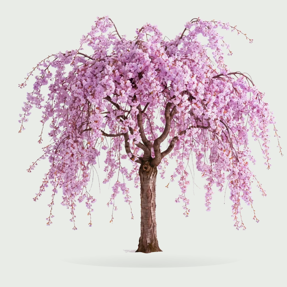 Tree #00132