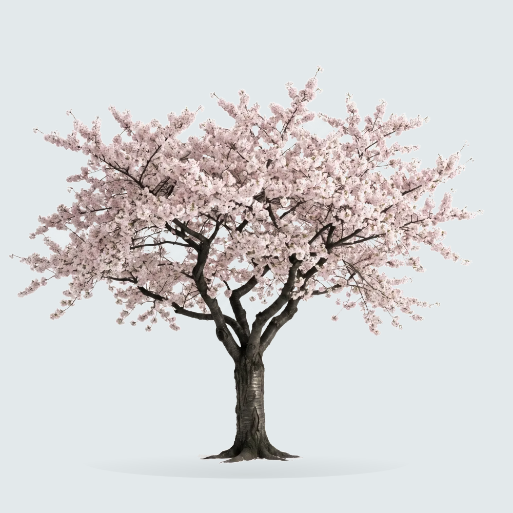 Tree #00151