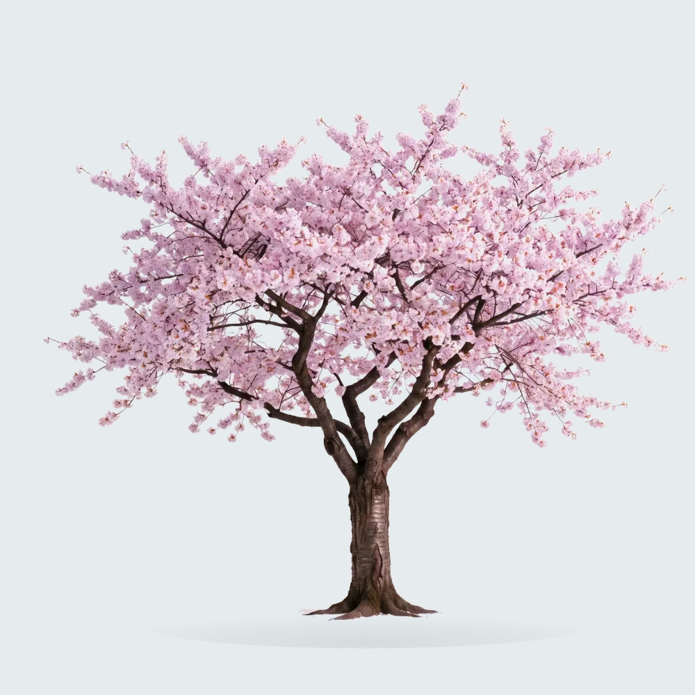 Tree #00172
