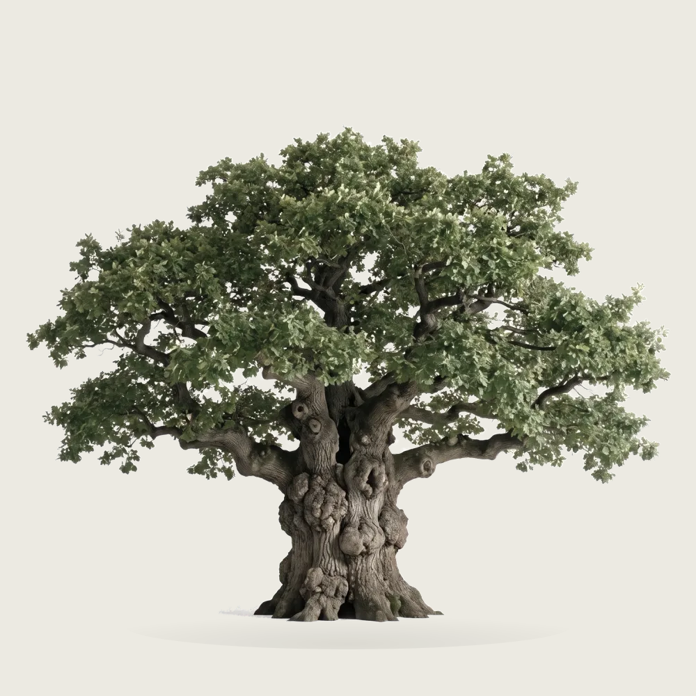 Tree #00191