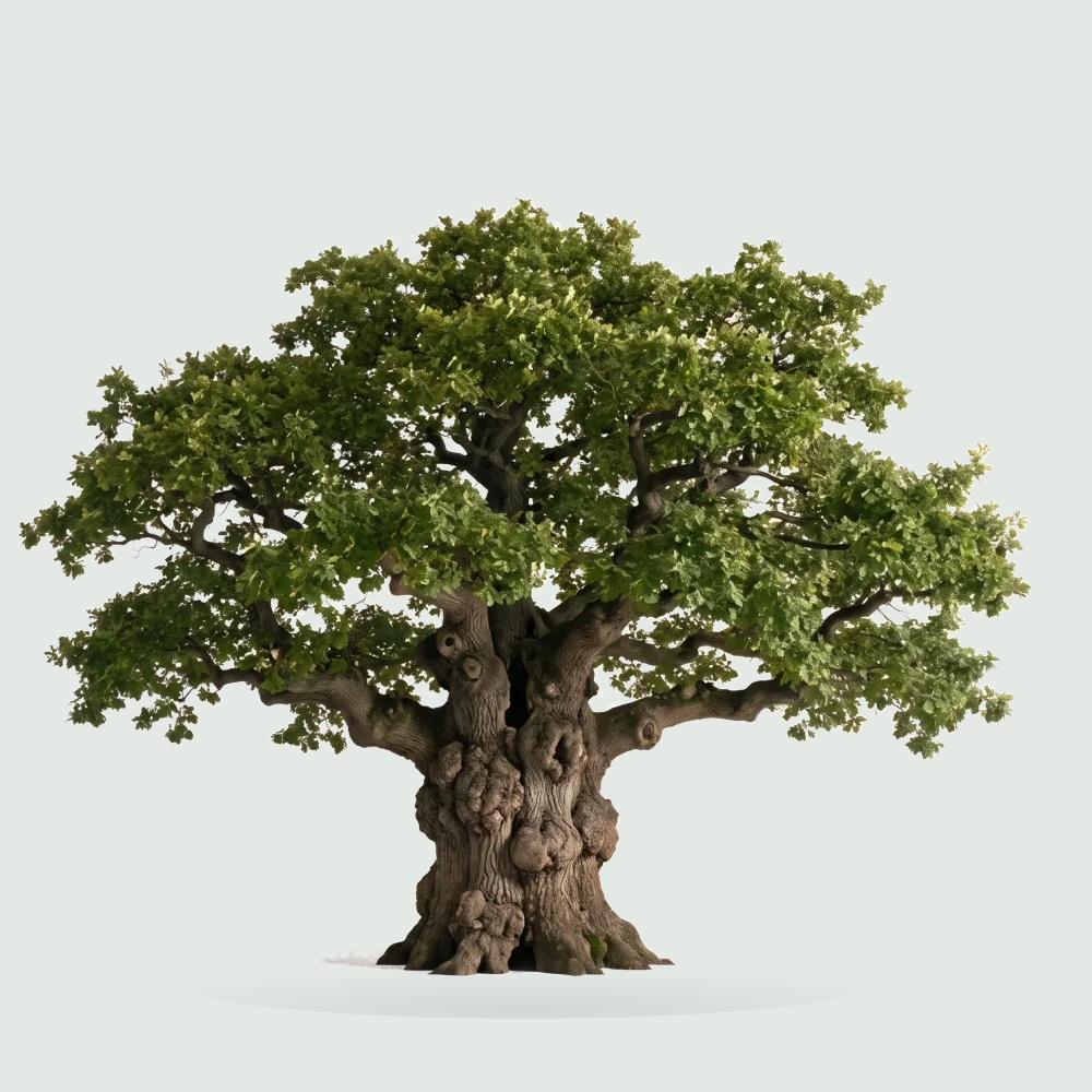 Tree #00199