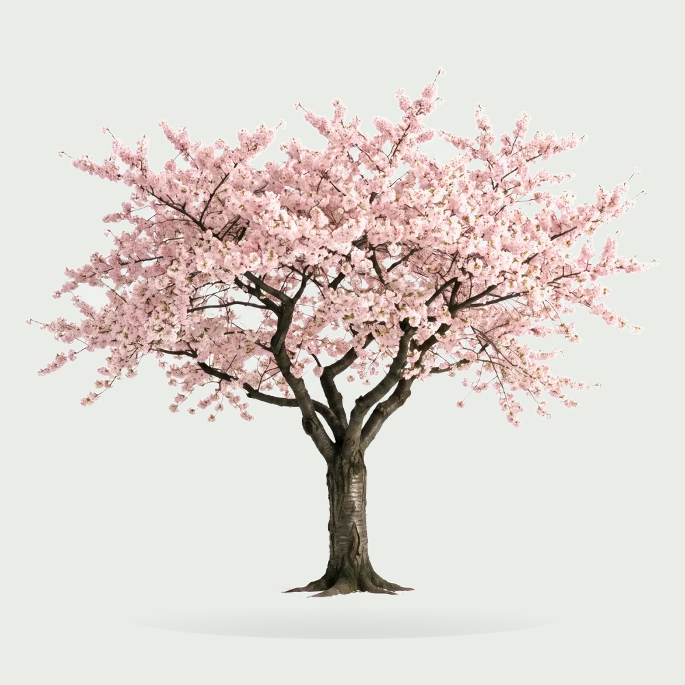 Tree #00204