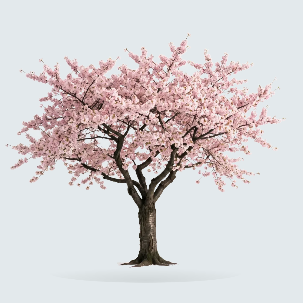 Tree #00270