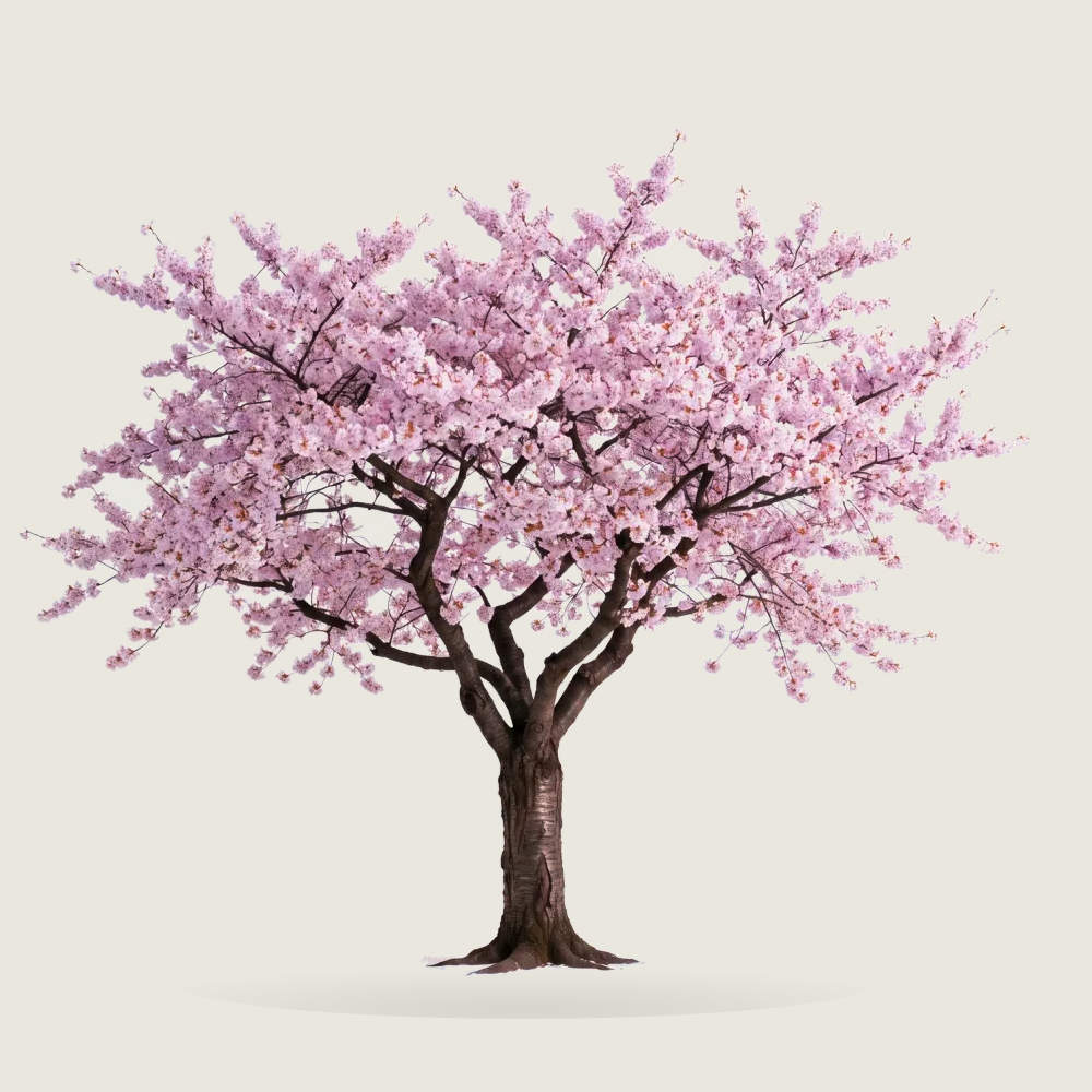 Tree #00356