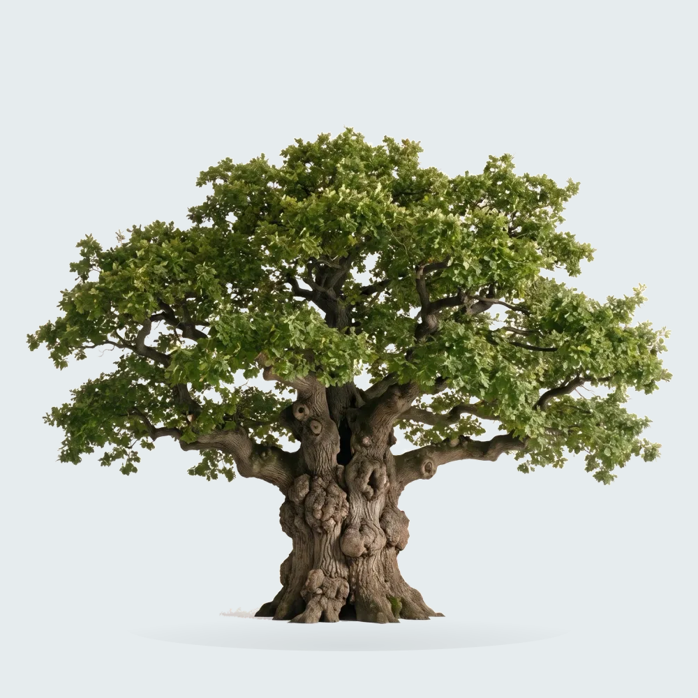 Tree #00410