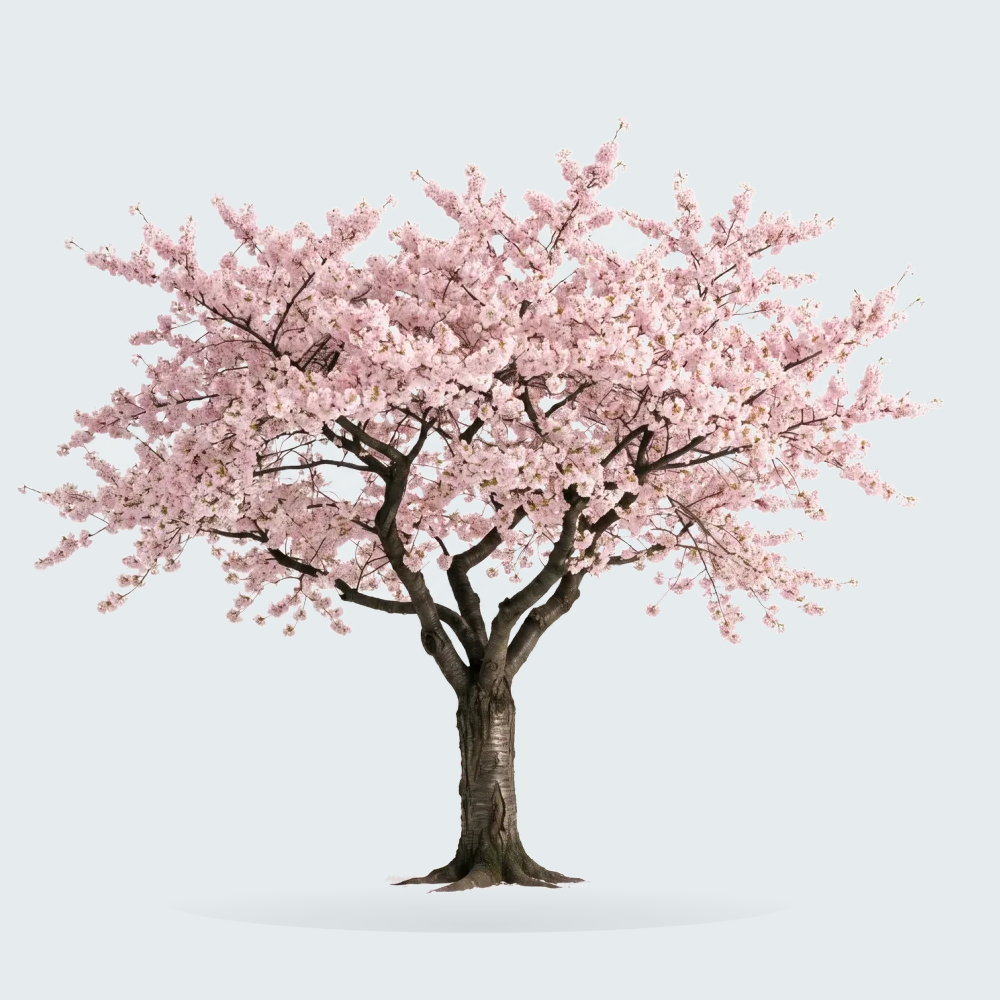 Tree #00450