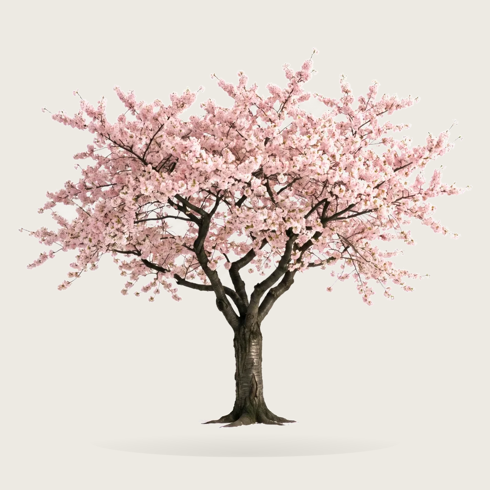 Tree #00471