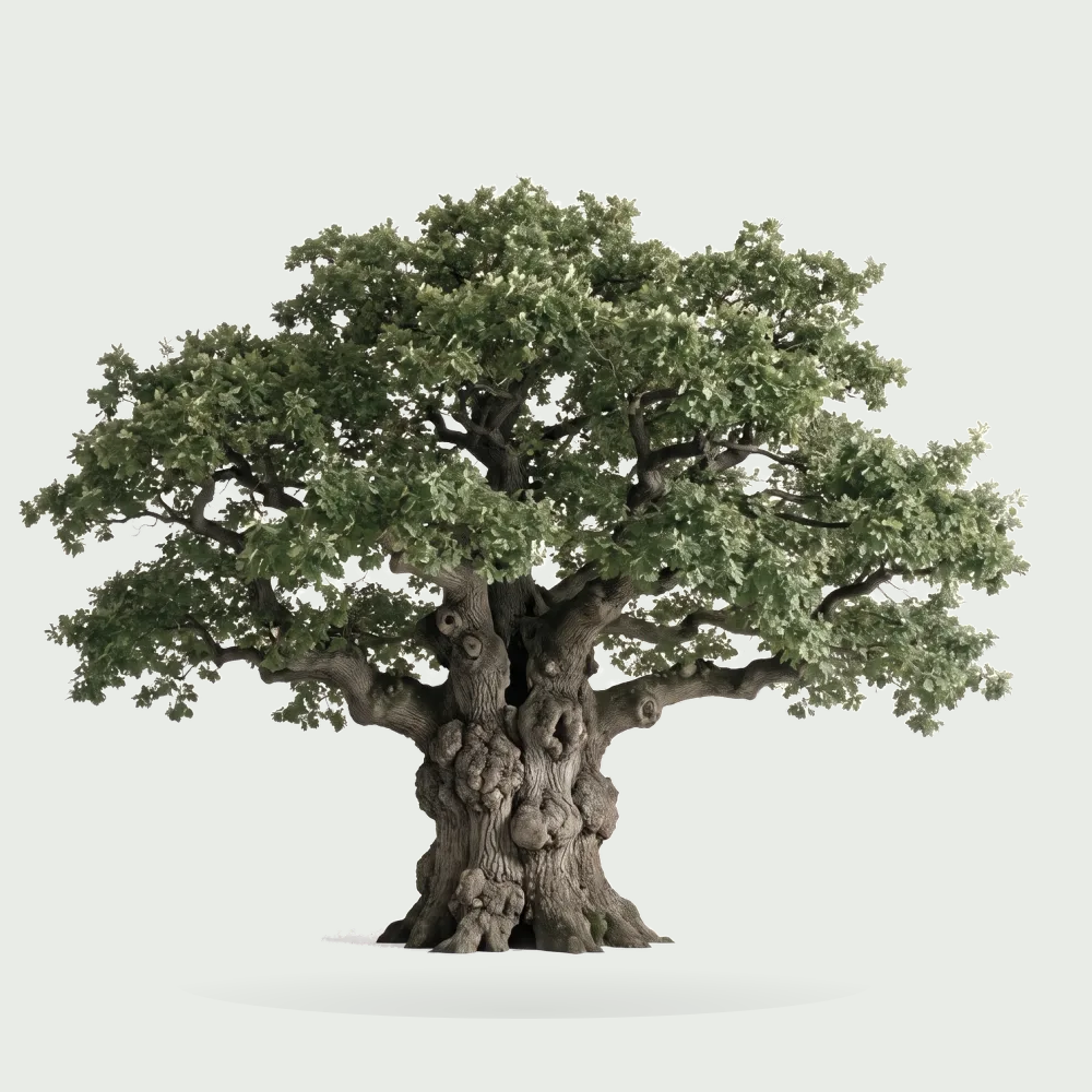 Tree #00490