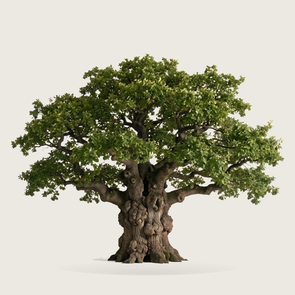 Tree #00499