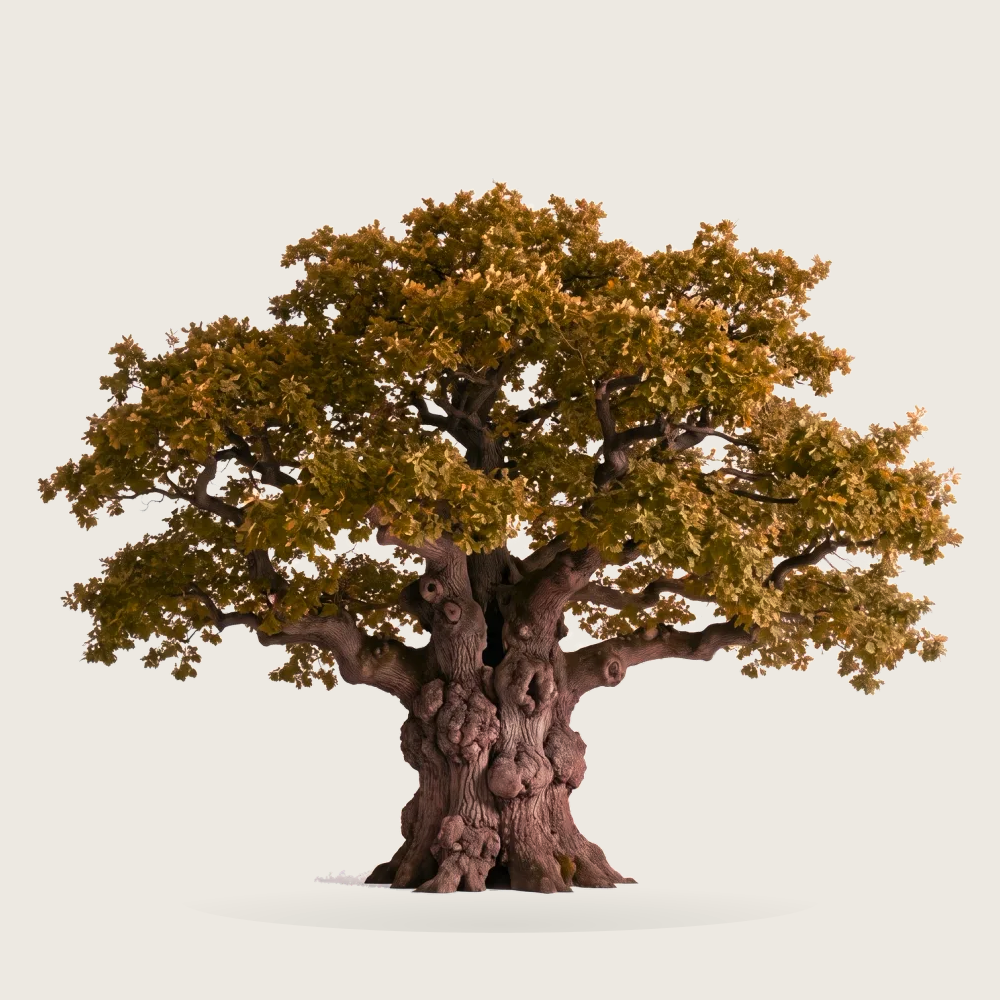Tree #00061