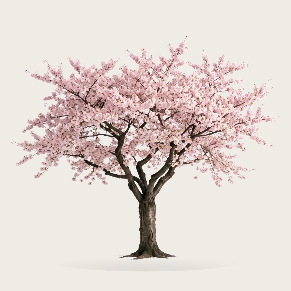 Tree #00740