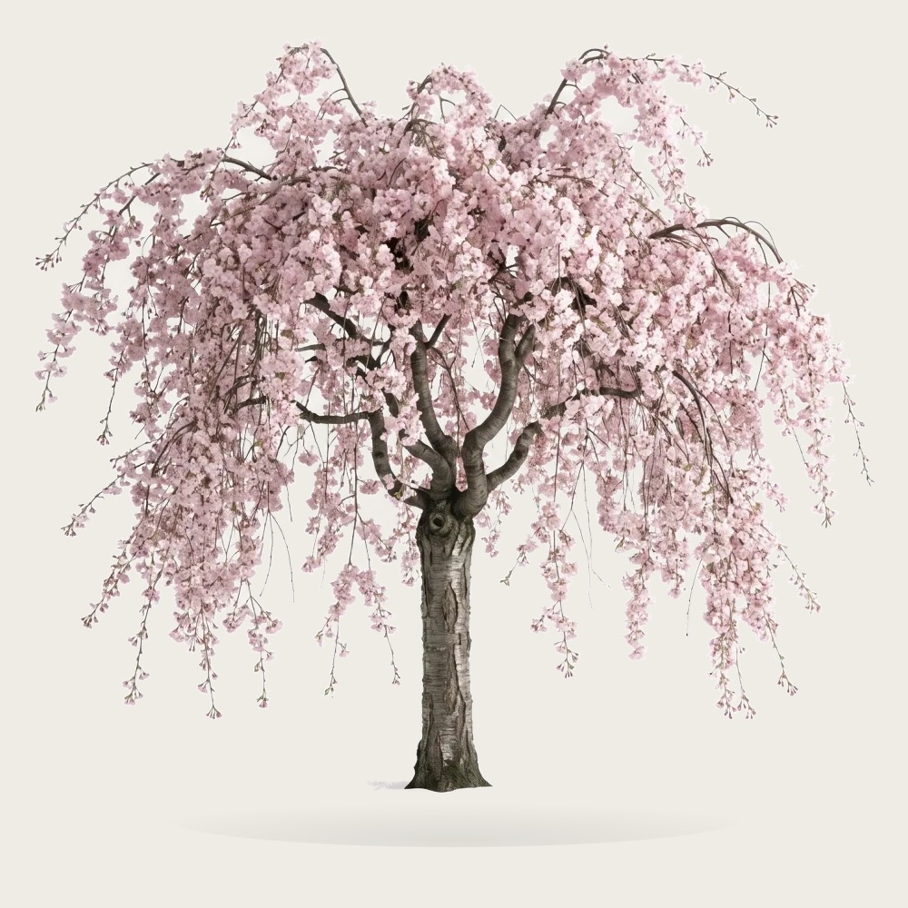 Tree #00756
