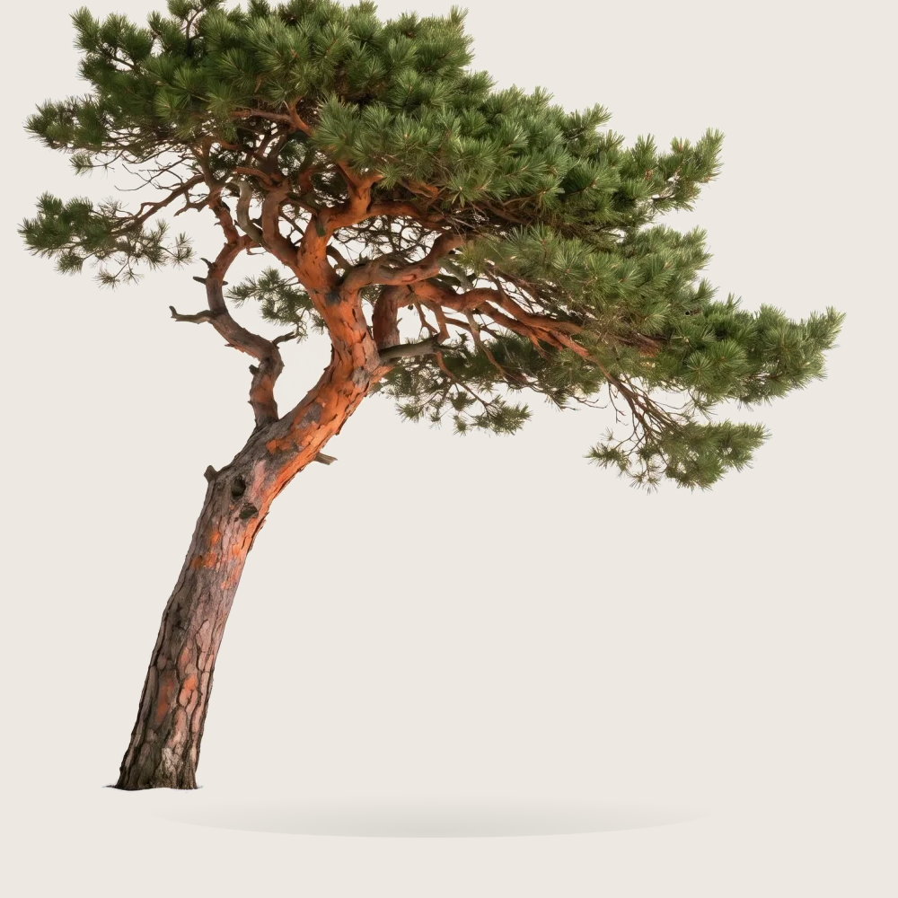 Tree #00830