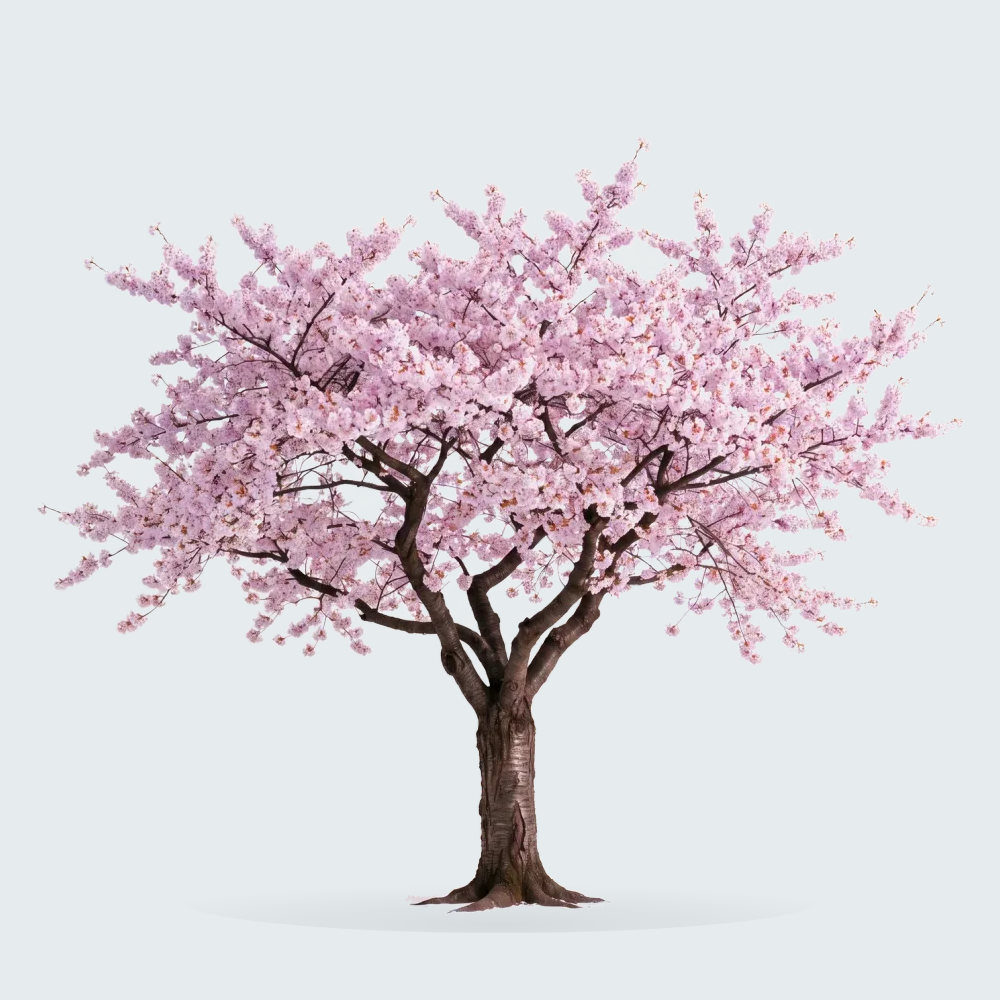 Tree #00831