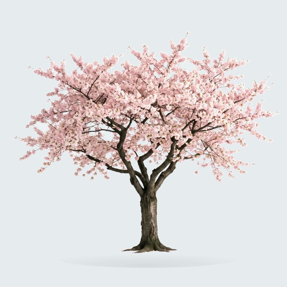 Tree #00839