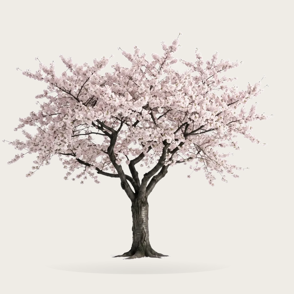 Tree #00868