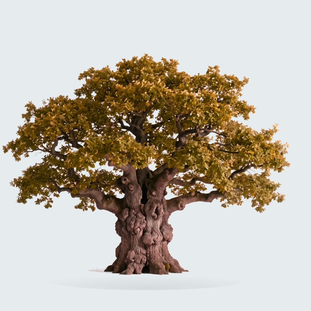 Tree #00881