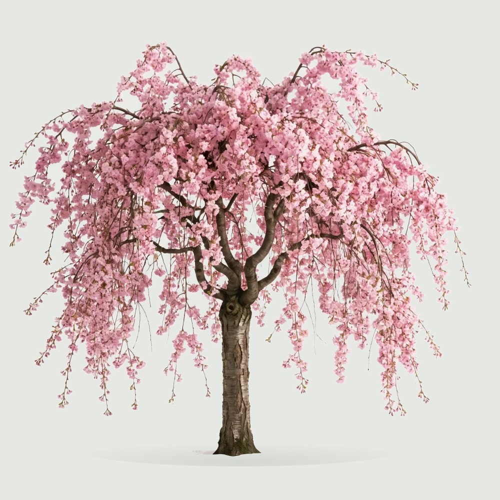 Tree #00918