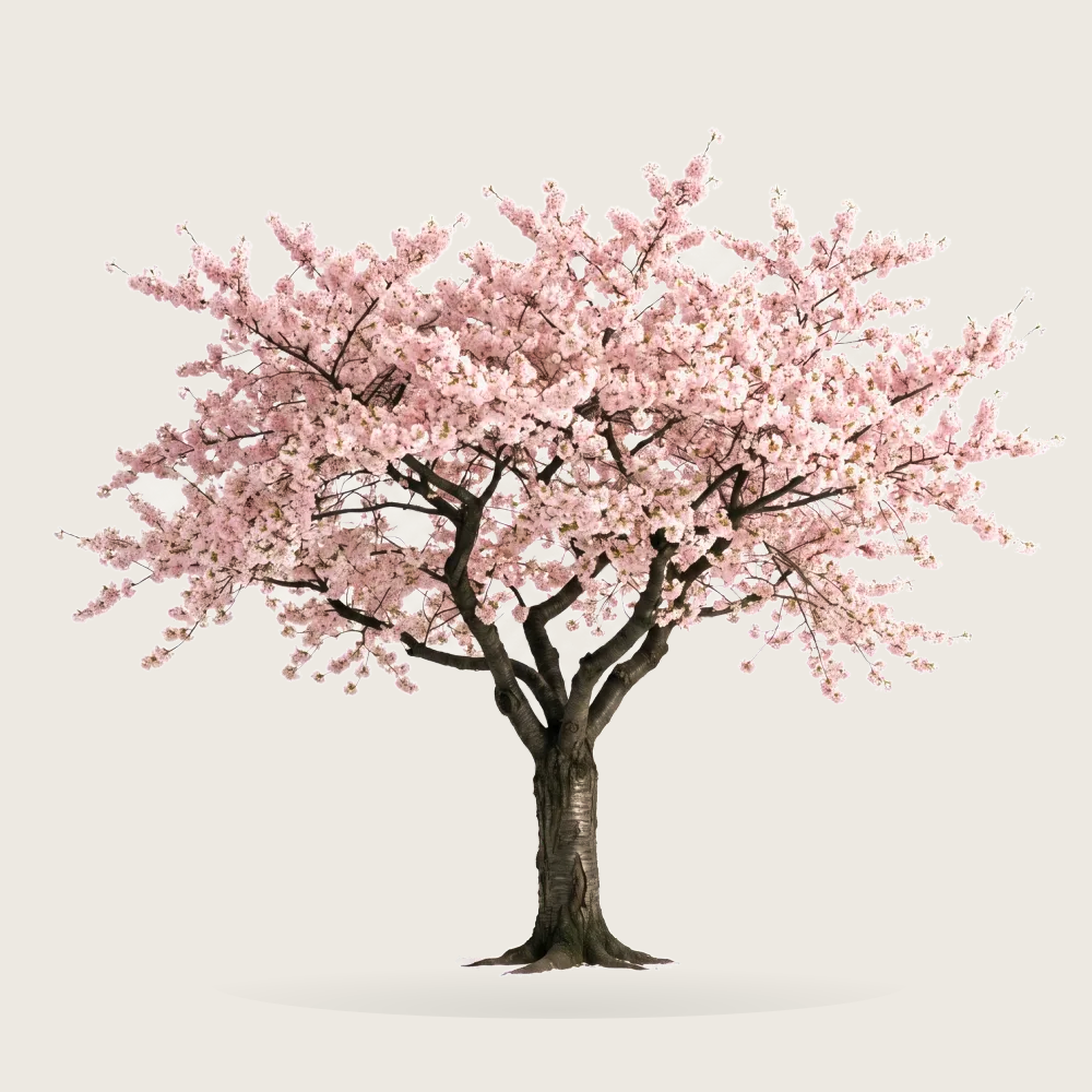 Tree #00956