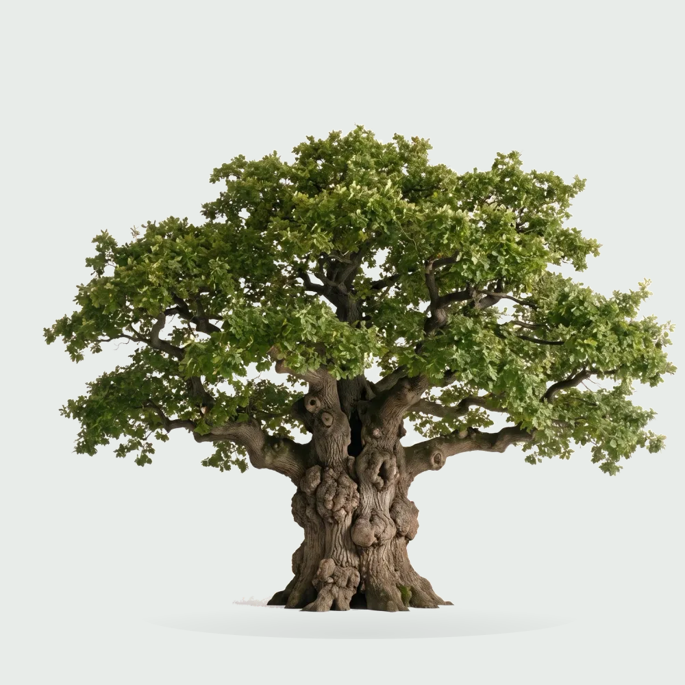 Tree #01000